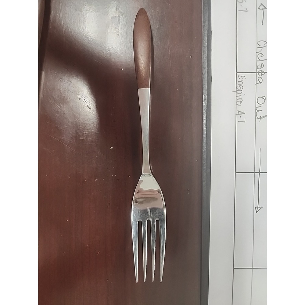 EPS10 Epic / Japan - Forged‎ Stainless Silverware / Flatware Salad Fork